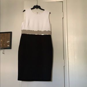 Calvin Klein Dress, barely worn, Size 14